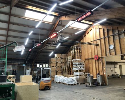 KWS Vegetables Netherlands B.V