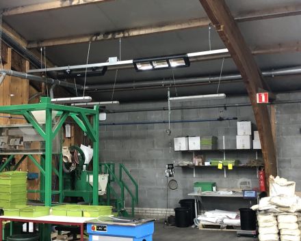 KWS Vegetables Netherlands B.V