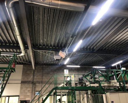 KWS Vegetables Netherlands B.V